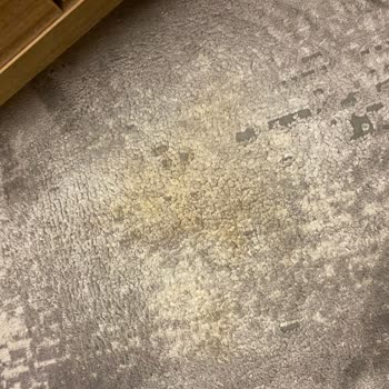 Halı Yıkama Hizmeti Sonrası Mağduriyet Ve İlgisizlik