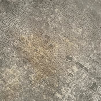 Halı Yıkama Hizmeti Sonrası Mağduriyet Ve İlgisizlik