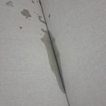 Açık Şampuan Kapağı Nedeniyle Yaşanan Mağaza Mağduriyeti