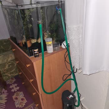 Elektrik Kesintisi Nedeniyle Akvaryum Balıklarım Tehlikede, Yetersiz Bilgilendirme Ve Destek