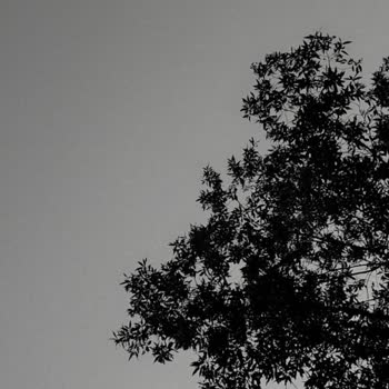 Kilit Ekranında Bildirimler Ve Müzik Görünmüyor