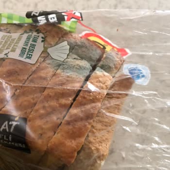 Satın Aldığım Ekmek Bir Günde Küflendi