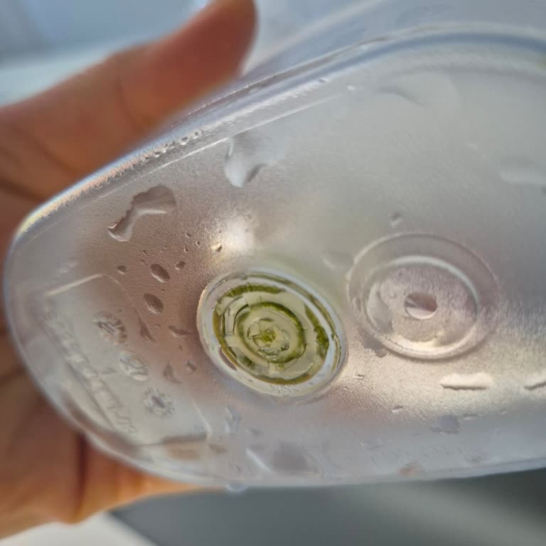 Yosunlaşma Problemi Ve Sağlık Endişesi