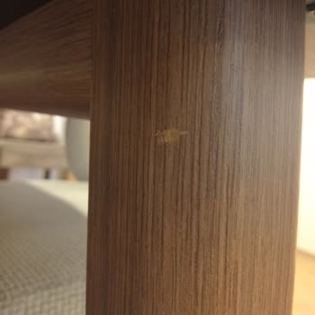 Masa Montajında Hasar Ve Çözüm Sürecinde Belirsizlik Yaşadım