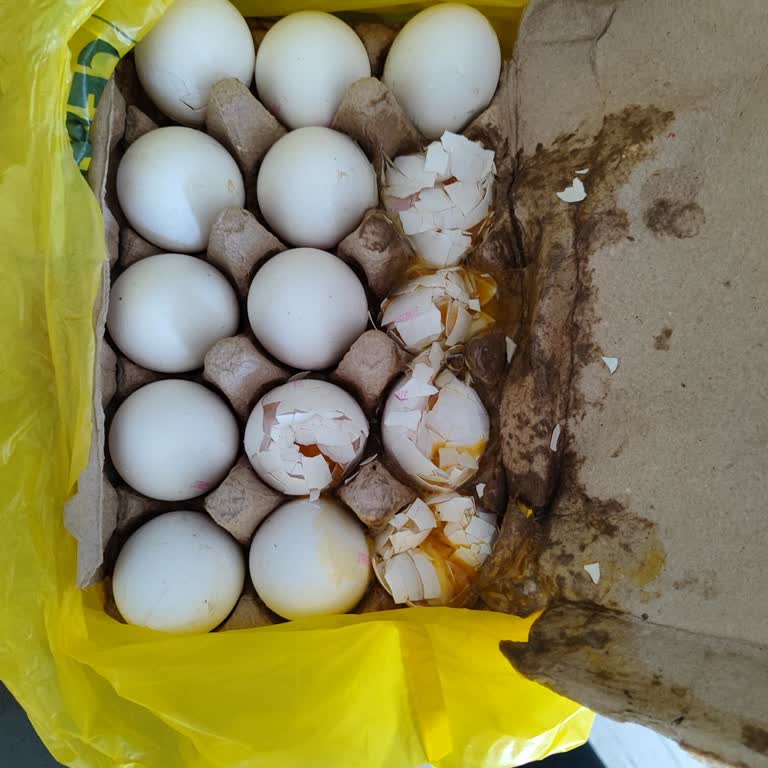 Kırık Yumurtalar Ve Yetersiz Müşteri Hizmetleri Deneyimi