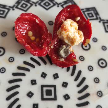 Peynir Dolgulu Biberin İçinden Taş Çıktı Dişim Kırılabilirdi