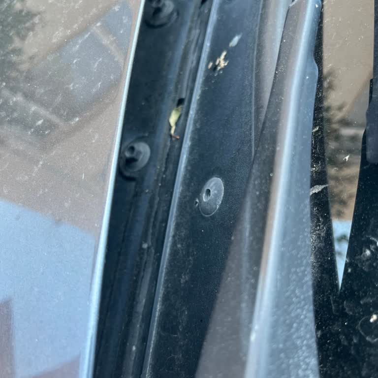 BMW 1.16i Ön Cam Fitilinde Erken Çürüme: Premium Markaya Yakışmayan Malzeme Kalitesi