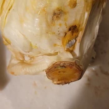 Kampanya Puanı Yüklenmedi, Bozuk Ürün Gönderildi