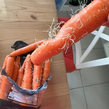 Migros'tan Gelen Kalitesiz Havuç Ve Yetersiz Müşteri Hizmeti