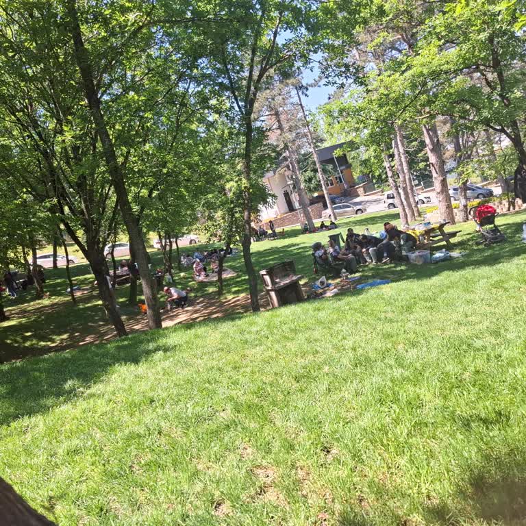 Piknik Alanında Masa İşgali Ve Yetkililerin İlgisizliği