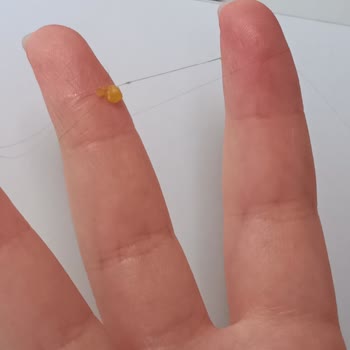 Gold Harvest Master Cipsinden Saç Kılı Çıktı, Hayal Kırıklığına Uğradım