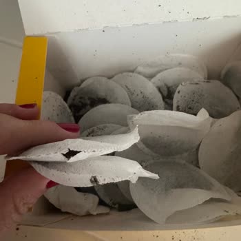 Efor Demlik Poşet Çaylarda Kalite Sorunu Ve Kullanım Memnuniyetsizliği