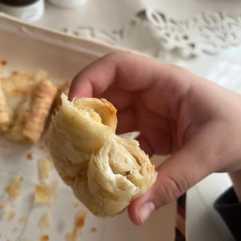 Aldığım Böreğin İçinden Böcek Çıkması Beni Çok Şaşırttı