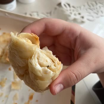 Aldığım Böreğin İçinden Böcek Çıkması Beni Çok Şaşırttı