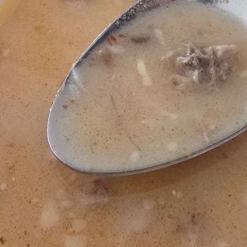 Aldığım Üründen Sert Hayvan Kılı Çıktı, İade Talep Ediyorum