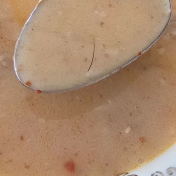 Aldığım Üründen Sert Hayvan Kılı Çıktı, İade Talep Ediyorum