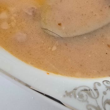 Aldığım Üründen Sert Hayvan Kılı Çıktı, İade Talep Ediyorum