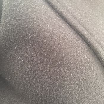 Kısa Sürede Tüylenen Kaban Fiyatını Hak Etmiyor