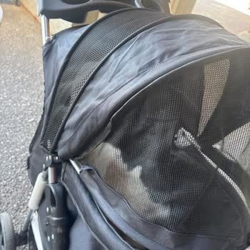 Acilde Köpekli Hastaya Keyfi Engel Ve Saygısızlık!