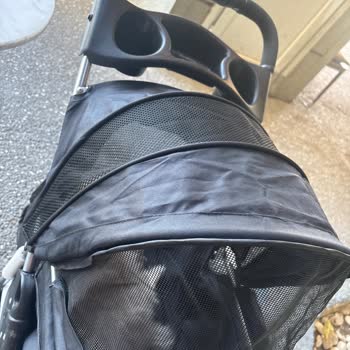 Acilde Köpekli Hastaya Keyfi Engel Ve Saygısızlık!