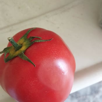 Eksik Ve Hasarlı Ürünler Nedeniyle Cepte Şok'tan Alışverişe Son