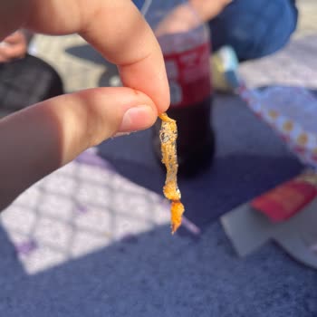 Tavuk Dürümden Çıkan Plastik Şoke Etti