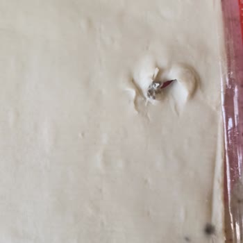 Superfresh Milföy Hamurunda Tekrar Eden Böcek Sorunu Midemi Bulandırdı