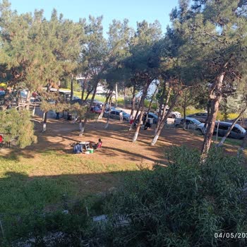 Emniyet Genel Müdürlüğü Gemlik Kumla'da Park İhlali Ve İlgisizlik Nedeniyle Trafik Çilesi Bitmiyor