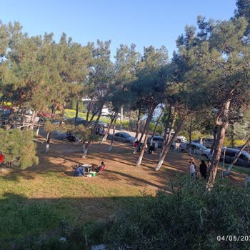 Emniyet Genel Müdürlüğü Gemlik Kumla'da Park İhlali Ve İlgisizlik Nedeniyle Trafik Çilesi Bitmiyor