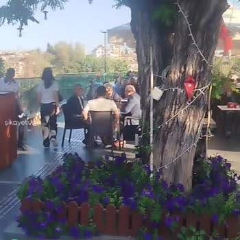 Anet Antalya Sinek Kapanları Kötü Kokuyor!