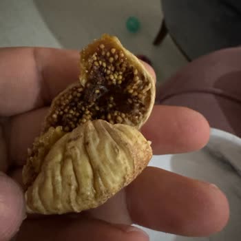 Aldığım İncirlerin Çoğu Kurtlu Ve Satıcı İletişime Kapatıyor