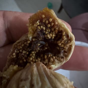 Aldığım İncirlerin Çoğu Kurtlu Ve Satıcı İletişime Kapatıyor