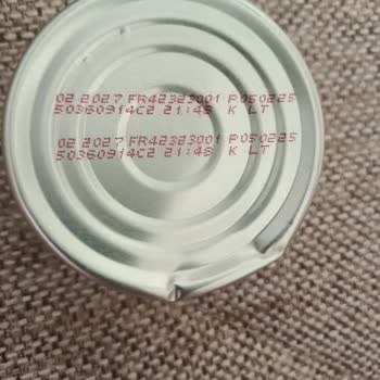 Kedim Purina Gourmet Gold Mama Sonrası Hayati Tehlike Yaşadı!