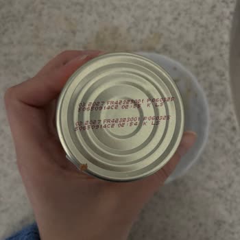 Kedim Purina Gourmet Gold Mama Sonrası Hayati Tehlike Yaşadı!