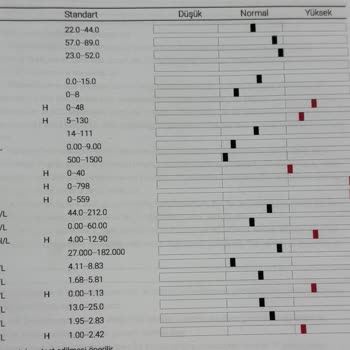 Kedim Purina Gourmet Gold Mama Sonrası Hayati Tehlike Yaşadı!