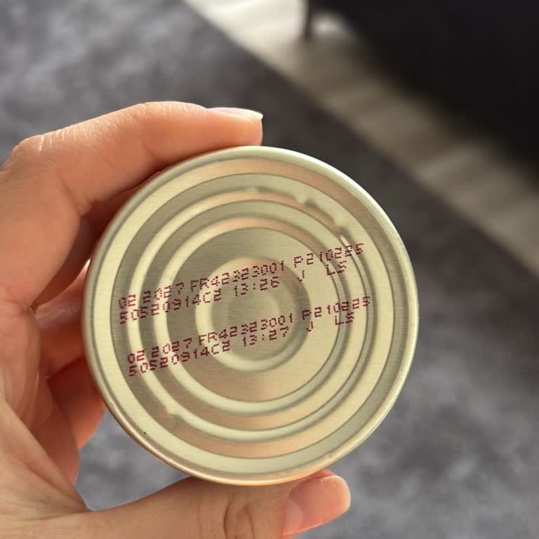 Kedim Purina Gourmet Gold Mama Sonrası Hayati Tehlike Yaşadı!