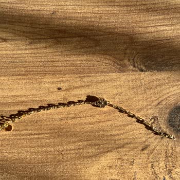 Sürekli Kopan Bileklik Ve İade Sorunu: Altınbaş Şubesi Mağduriyeti