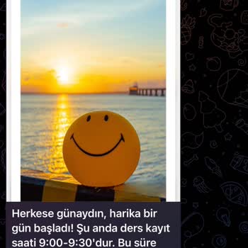 Telegram Üzerinden Kişisel Bilgilerimle Yapılan İşlemlerden Endişeliyim