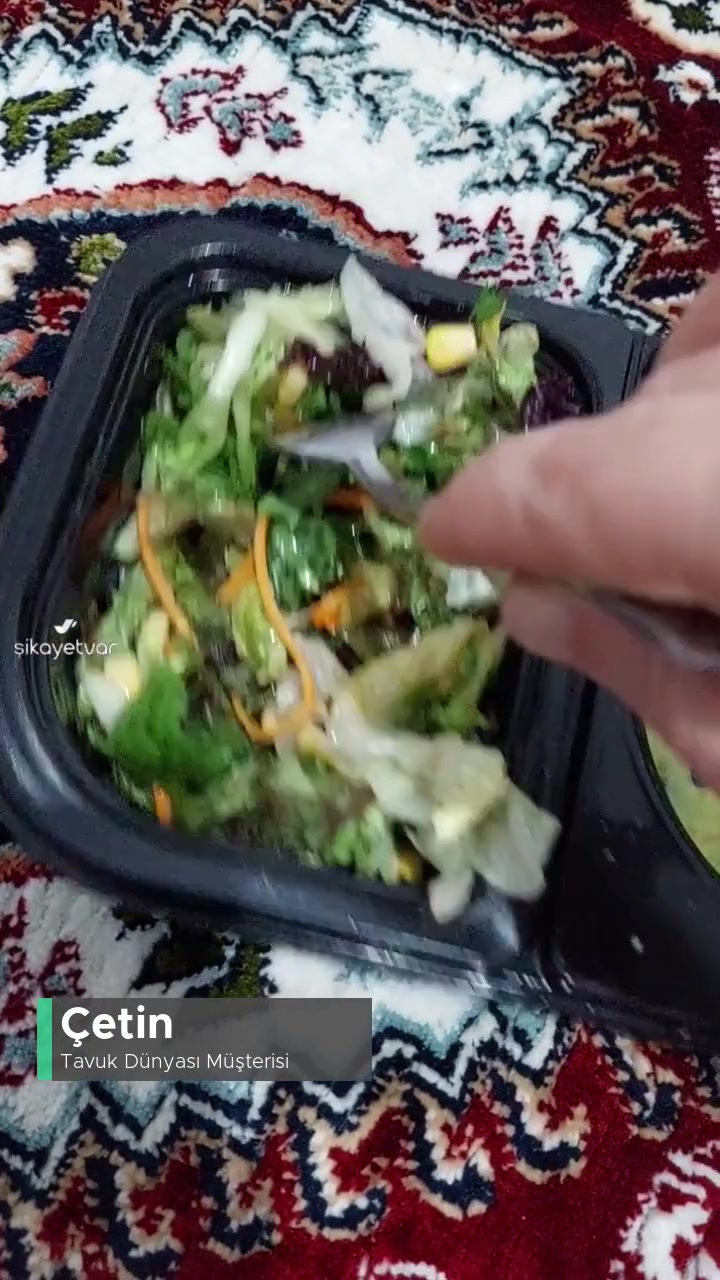Tavuk Dünyası Salata Çürümüş Çöp Oldu! videonun kapak resmi