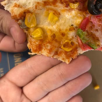 Pizzada Kıl Ve Hijyen Eksikliği, Şikayetime Dönüş Yapılmadı