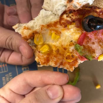 Pizzada Kıl Ve Hijyen Eksikliği, Şikayetime Dönüş Yapılmadı