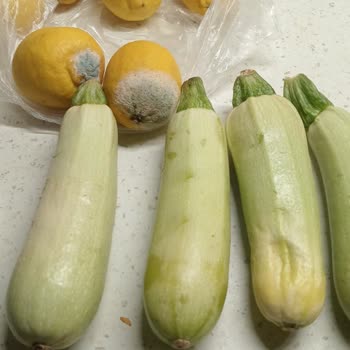 Carrefour SA Online Siparişimde Çürük Ve Eski Ürünler Gönderildi