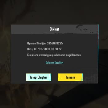 Satın Aldığım Hesabın Kullanılamaz Durumda Olması