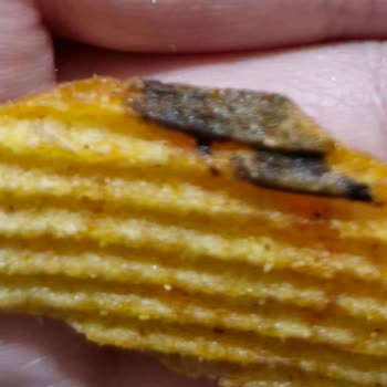 Ruffles Ketçap Aromalı Cipsin İçinden Siyah Parçalar Çıktı, Açıklama Bekliyorum