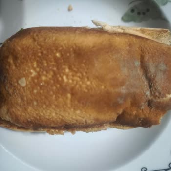 Küflü Hamburger Ekmeğiyle Sağlığımız Tehlikeye Atıldı