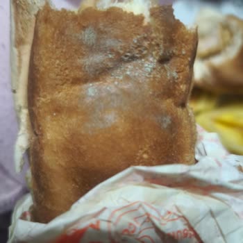 Küflü Hamburger Ekmeğiyle Sağlığımız Tehlikeye Atıldı