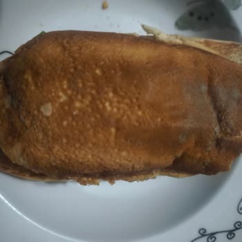 Küflü Hamburger Ekmeğiyle Sağlığımız Tehlikeye Atıldı