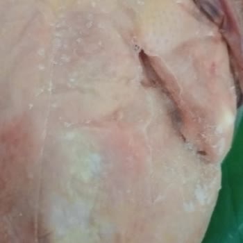 A101'den Aldığım Tavuklar Hastalıklı Çıktı