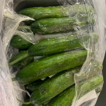 BİM Mağazasından Satın Aldığım Çürük Ürün Ve İade Sorunu