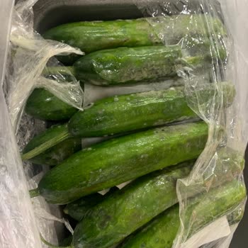 BİM Mağazasından Satın Aldığım Çürük Ürün Ve İade Sorunu